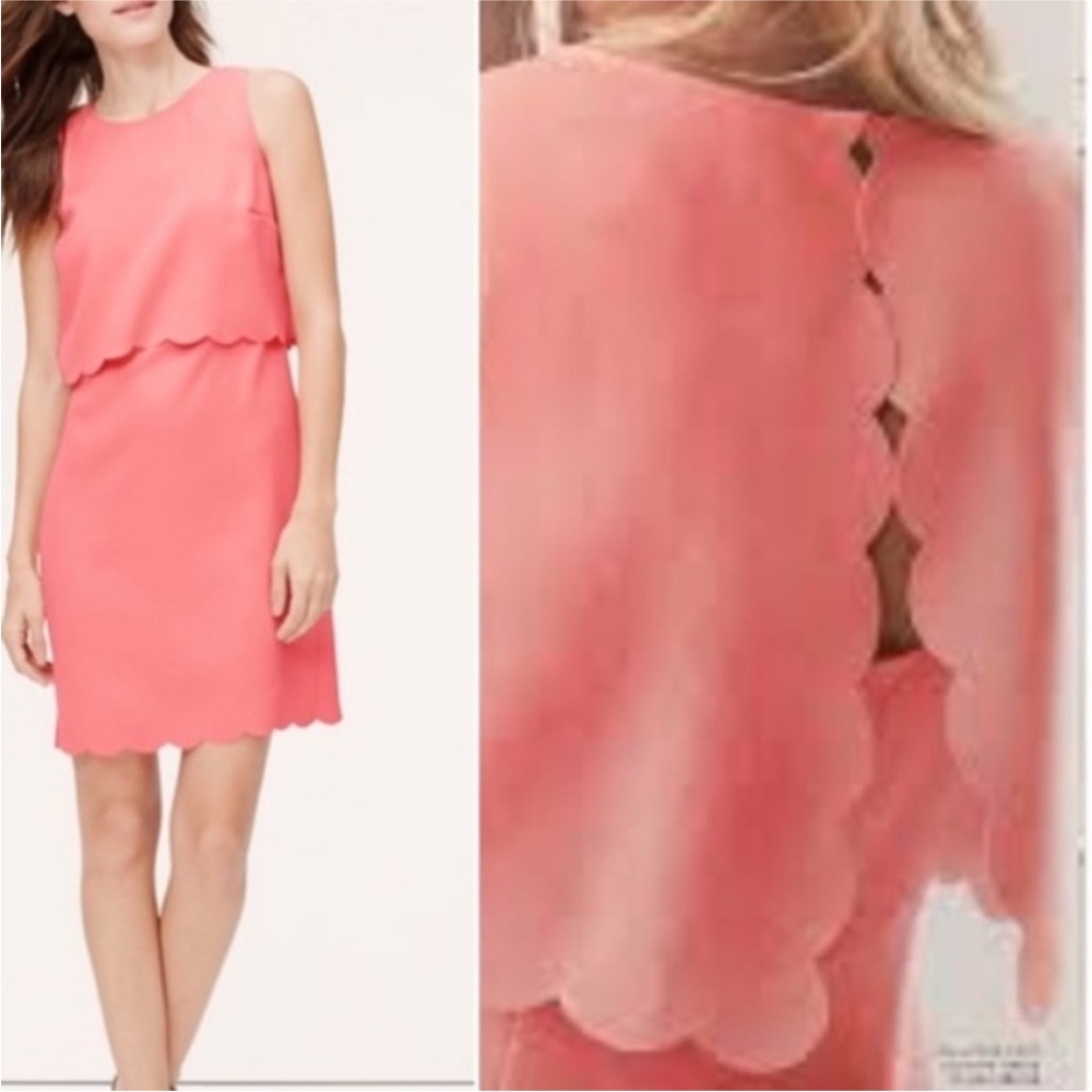 Loft Coral Pink Scalloped Dress - Picture 2 of 10